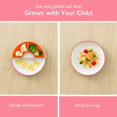 OMIE Easy Scoop Plate Set - 3 Plates + 2 Dividers - Pink