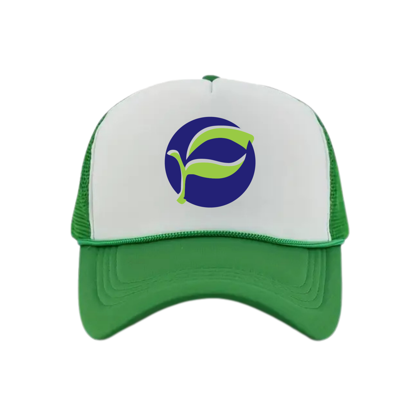 Pretty River Academy Logo Snapback Hat - Kelly Green / White