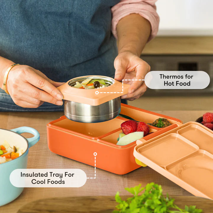 OmieLife - OmieBox Poppy Orange