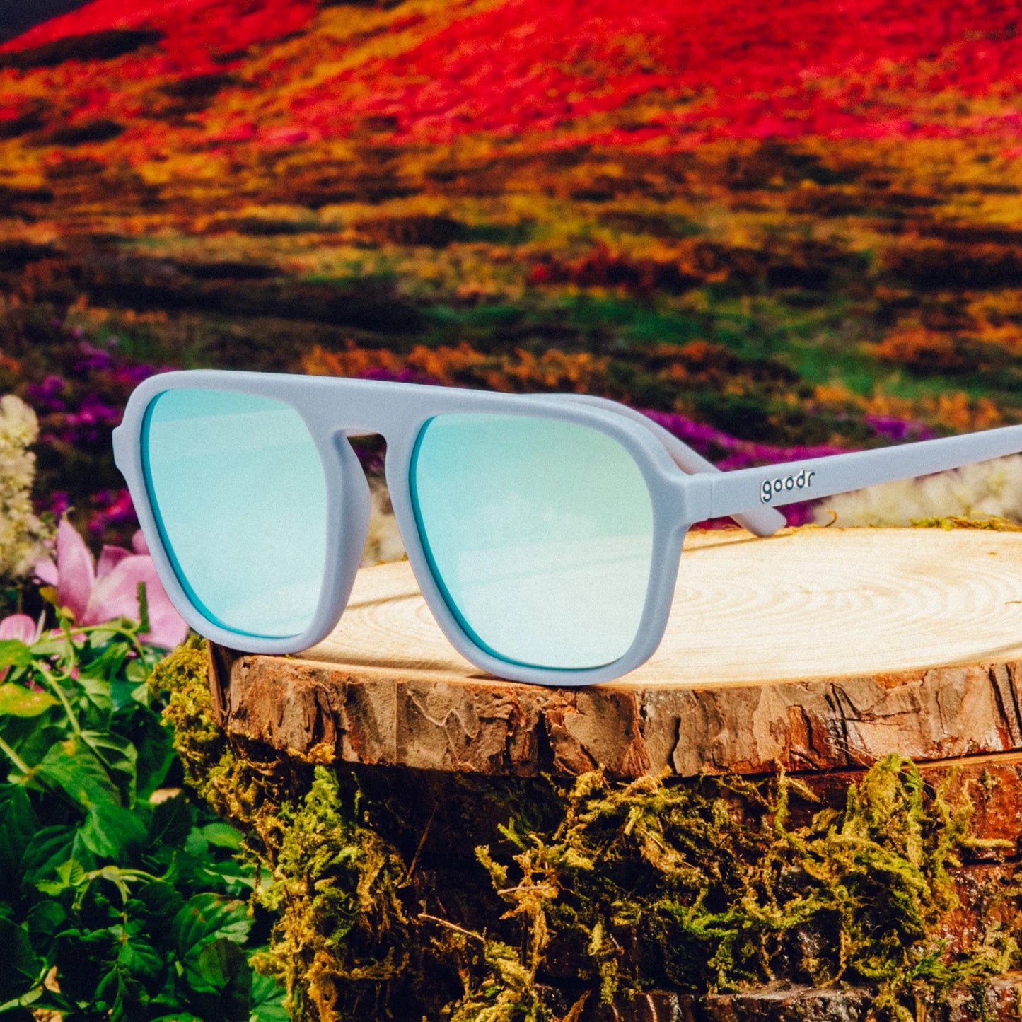 Roller Rink Royalty Sunglasses