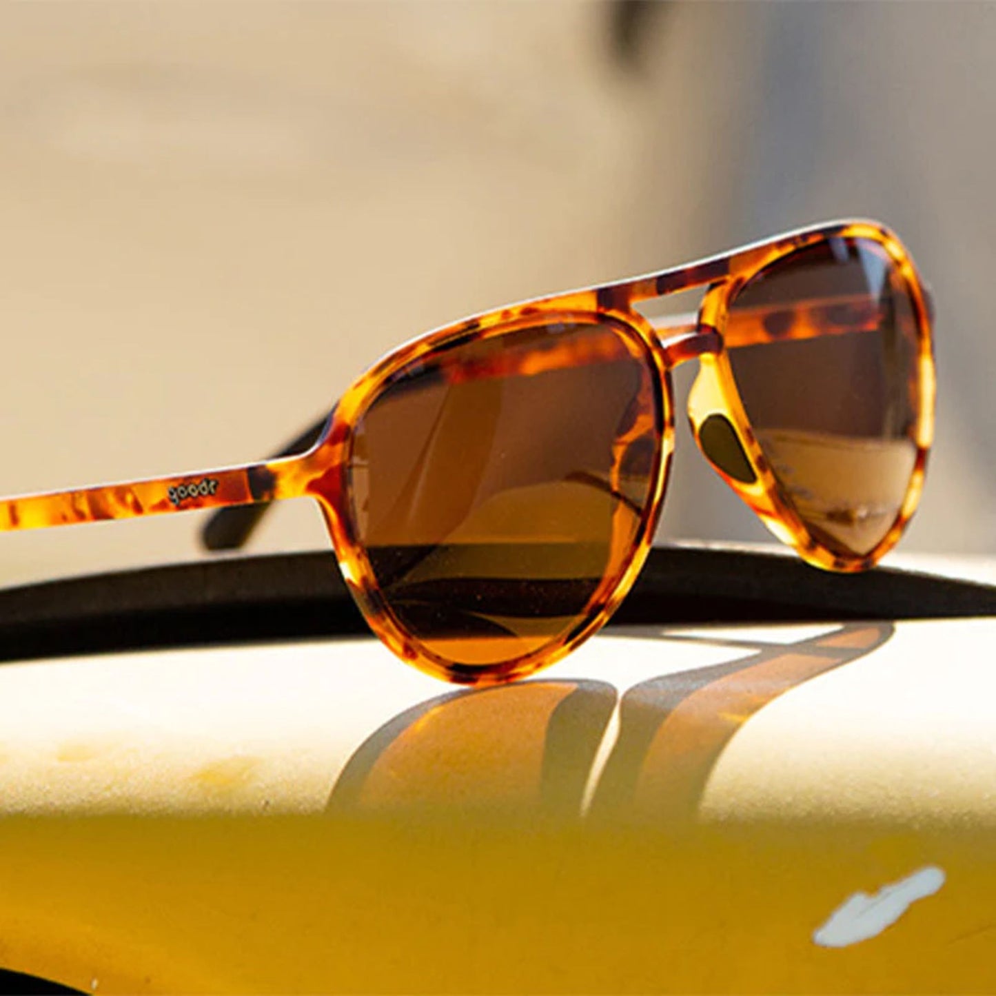 Amelia Earhart Ghosted Me Sunglasses