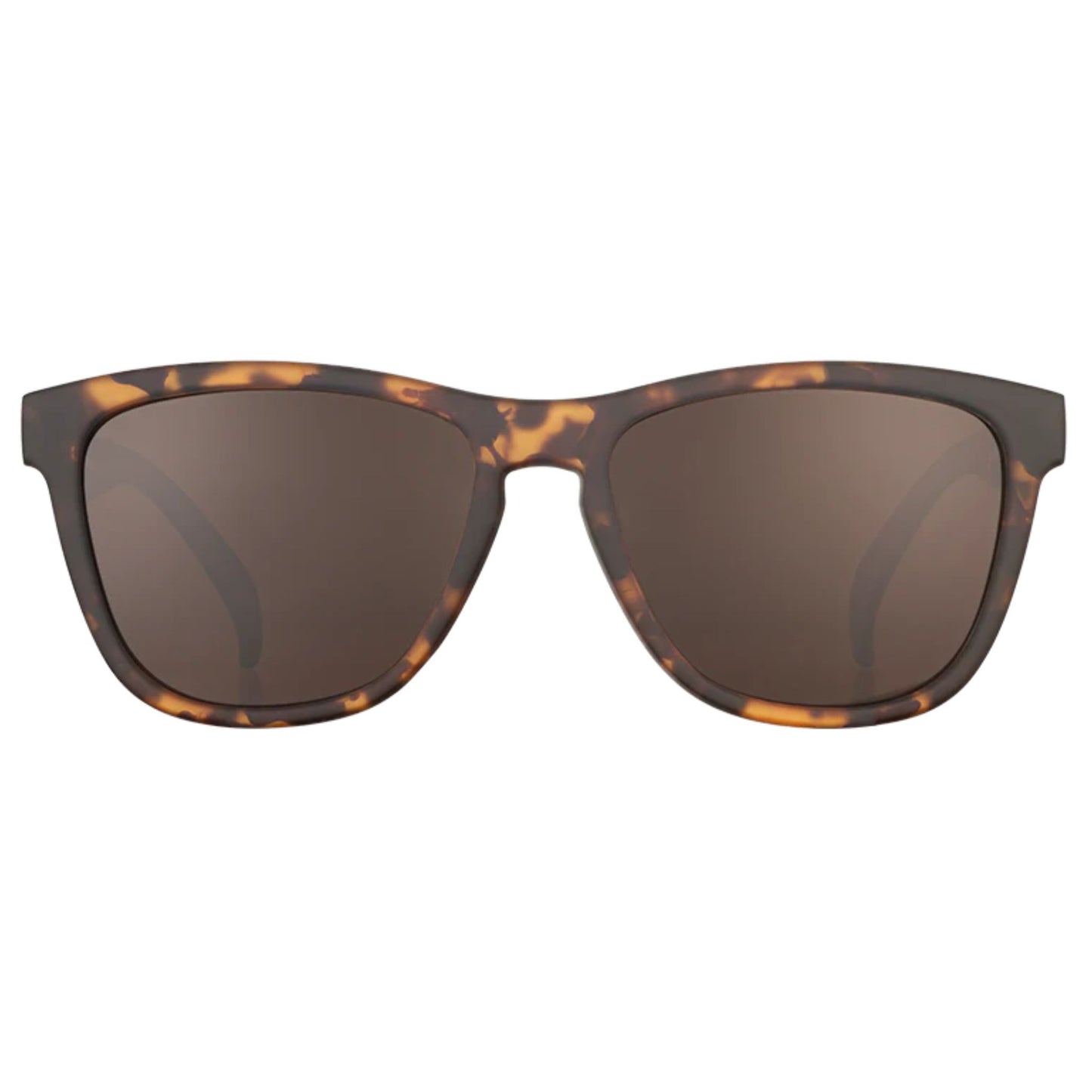 Bosley's Basset Hound Dreams Sunglasses