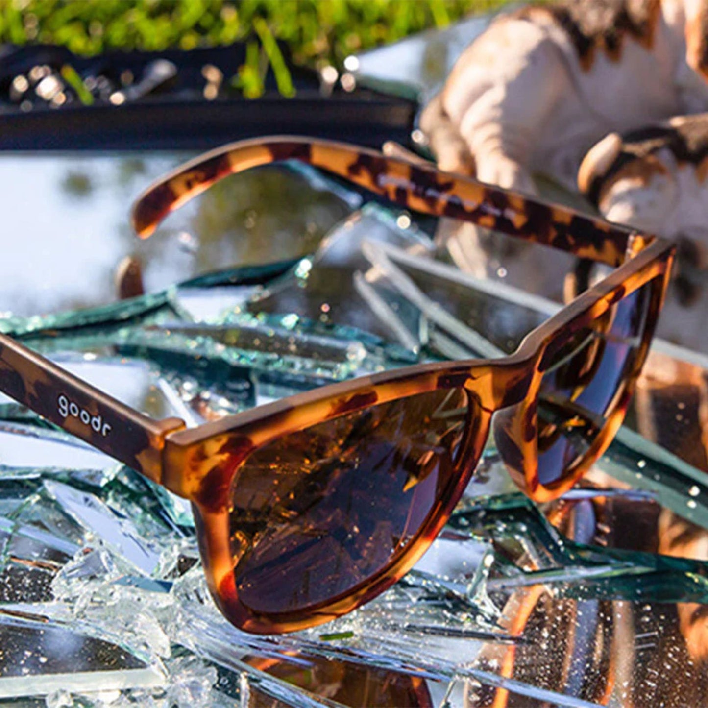 Bosley's Basset Hound Dreams Sunglasses