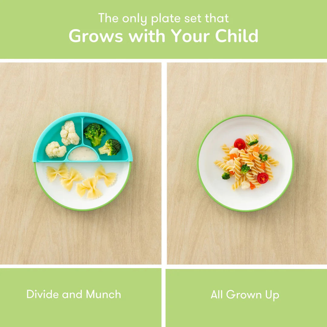 OMIE Easy Scoop Plate Set - 1 Plate + 1 Divider - Green