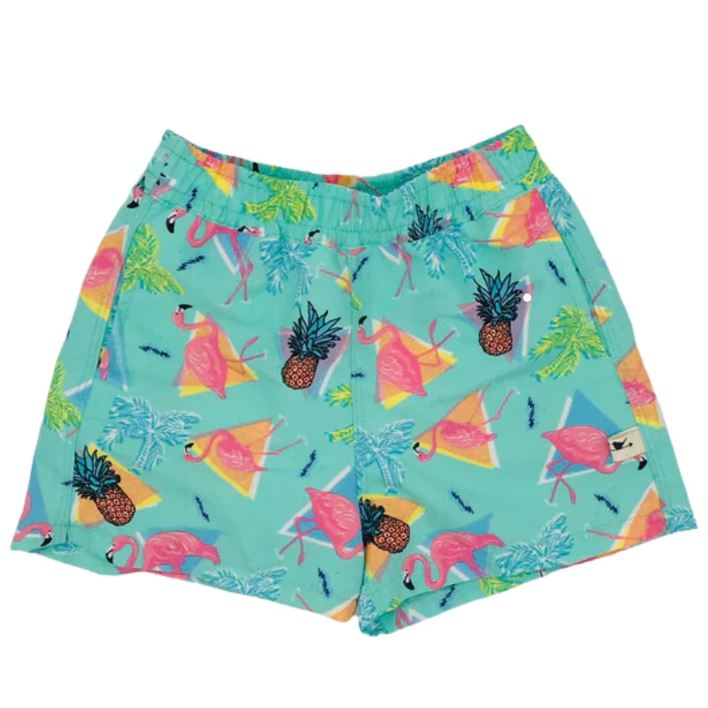 Men's Flamingo 80's Swim Shorts