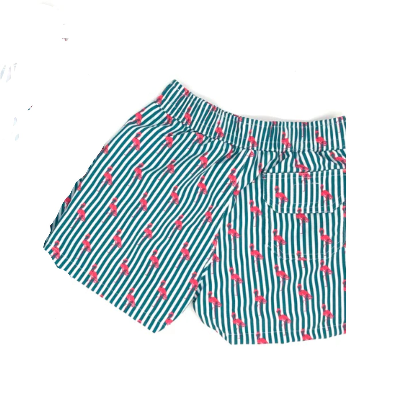 Pin Stripe Flamingo Swim Shorts