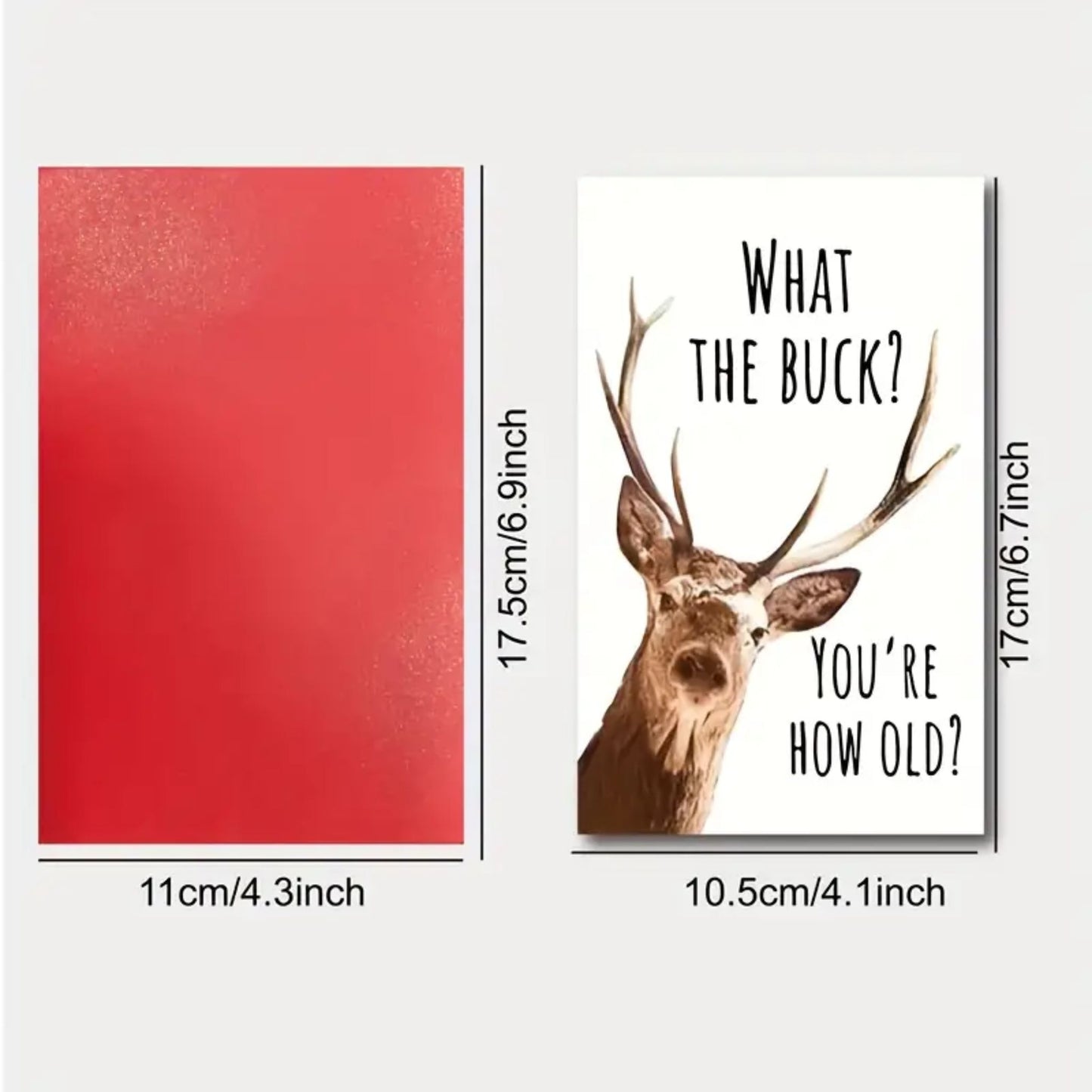 What the Buck? Birthday Card