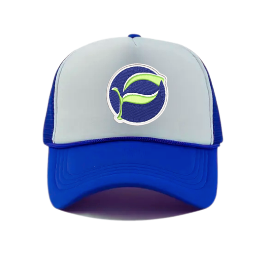 Pretty River Academy Patch Snapback Hat - Royal Blue / White