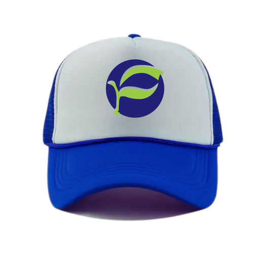 Pretty River Academy Logo Snapback Hat - Royal Blue / White