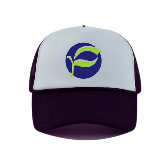 Pretty River Academy Logo Snapback Hat - Black / White