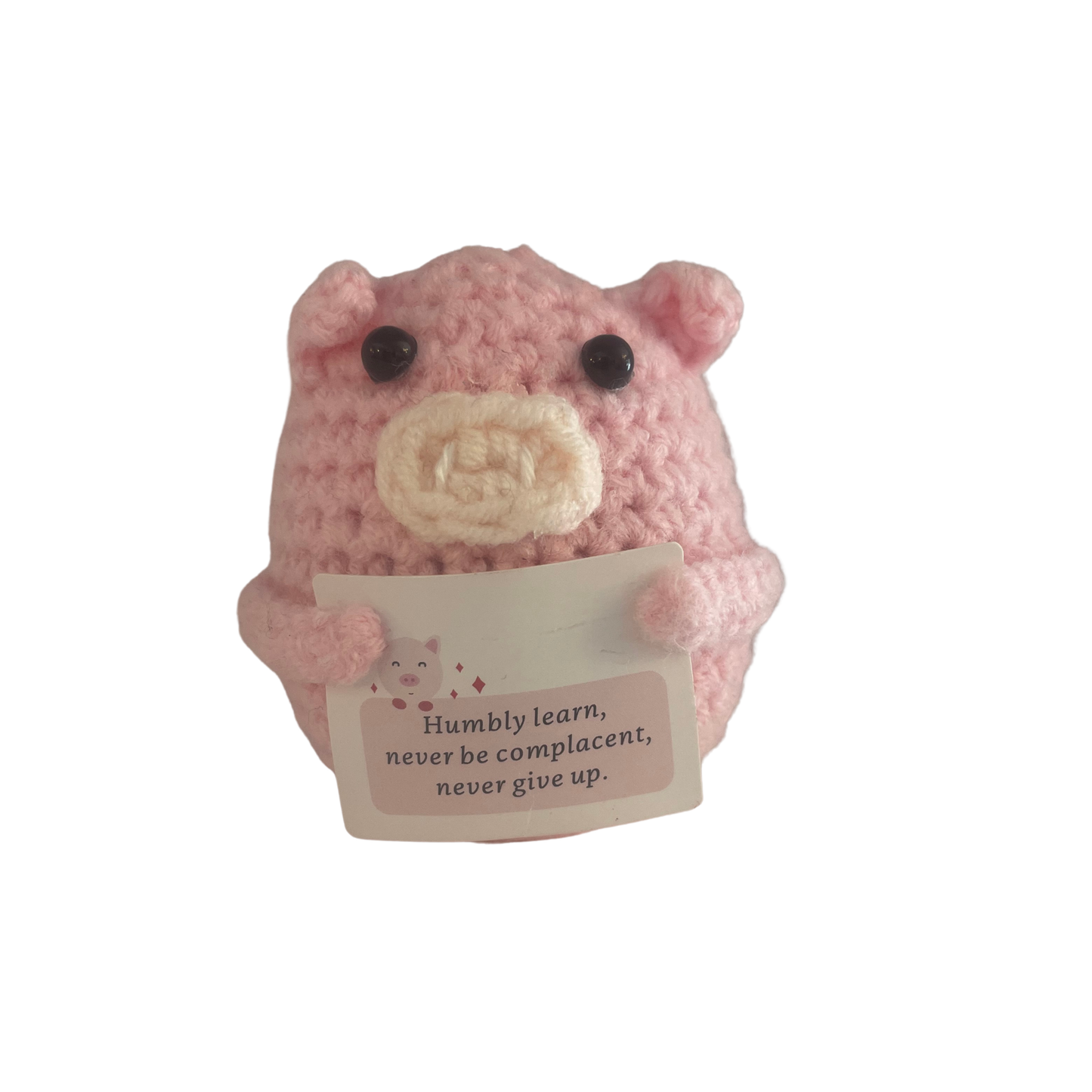 Positive Pig