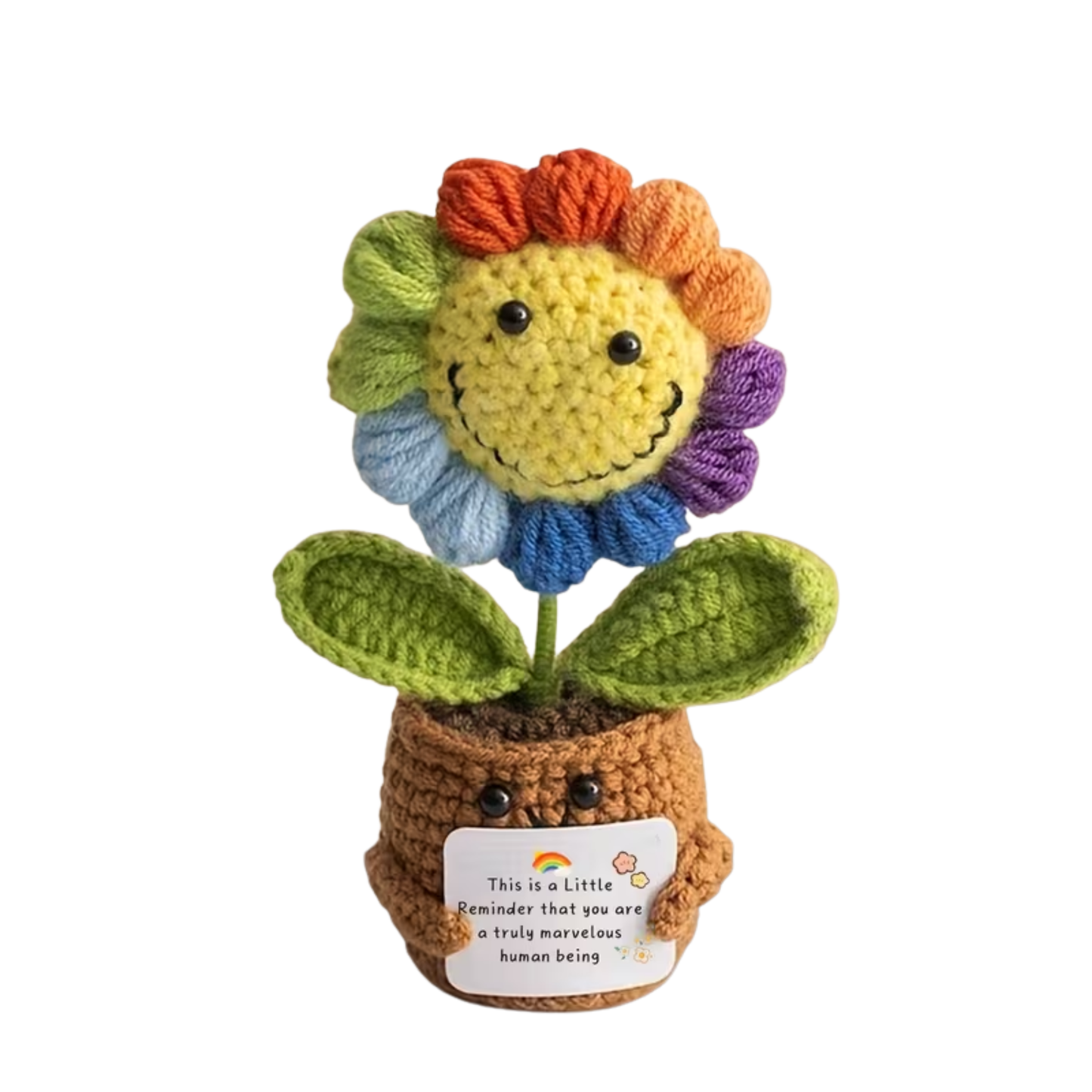 Emotional Support Plant - Rainbow Flower Pot