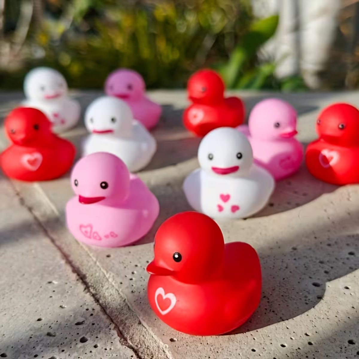 My Ducky Valentine