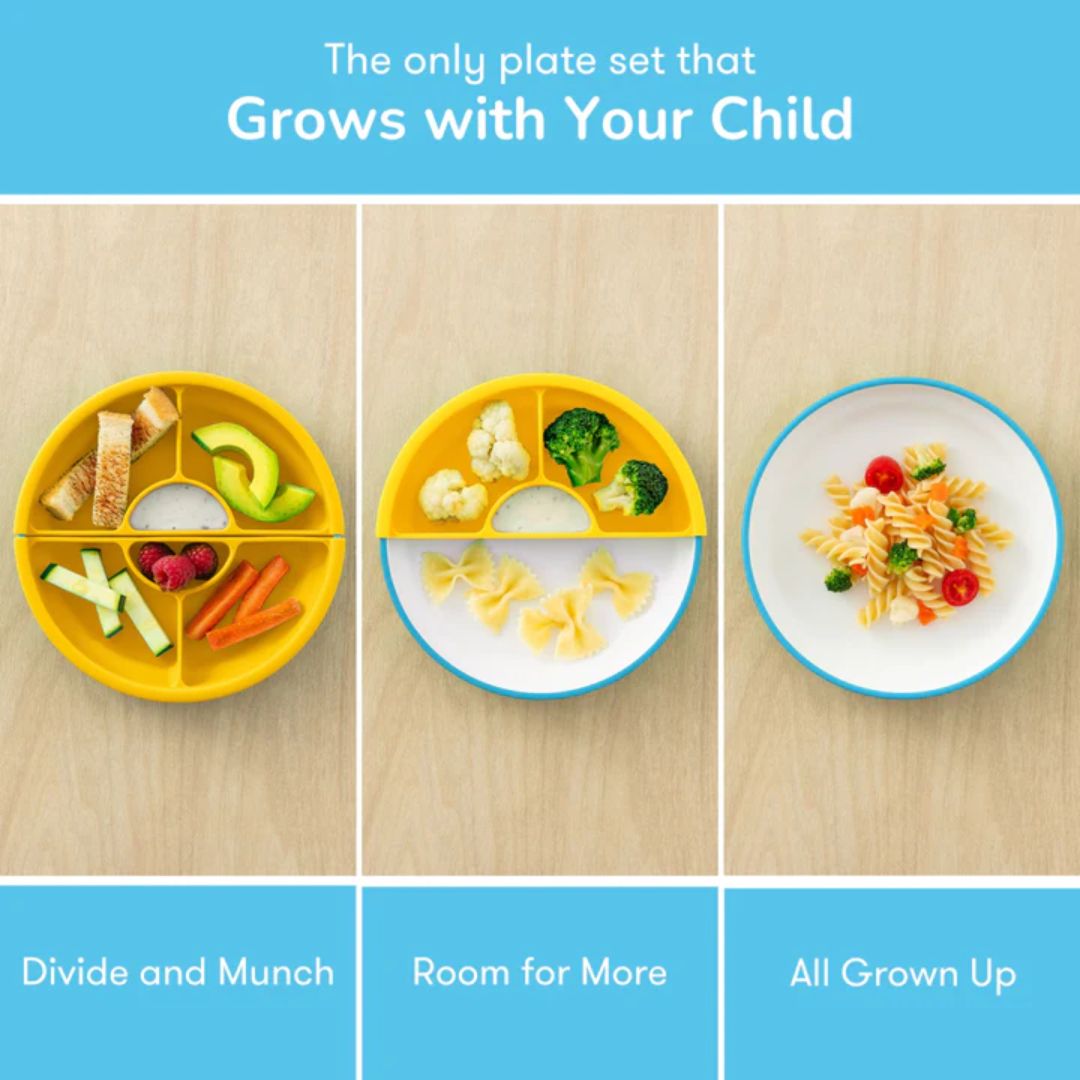 OMIE Easy Scoop Plate Set - 3 Plates + 2 Dividers - Blue