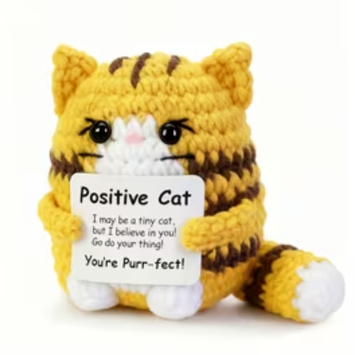 Positive Cat - Marmalade