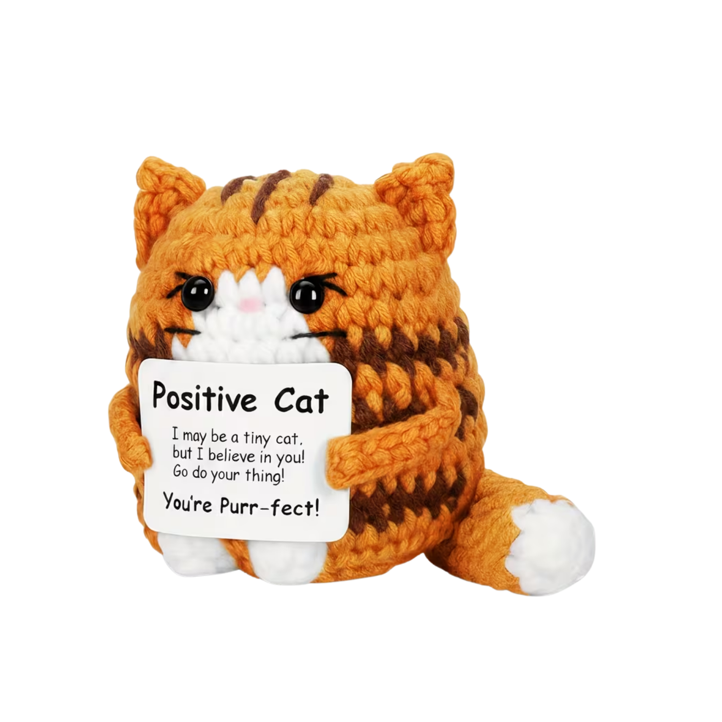 Positive Cat - Ginger