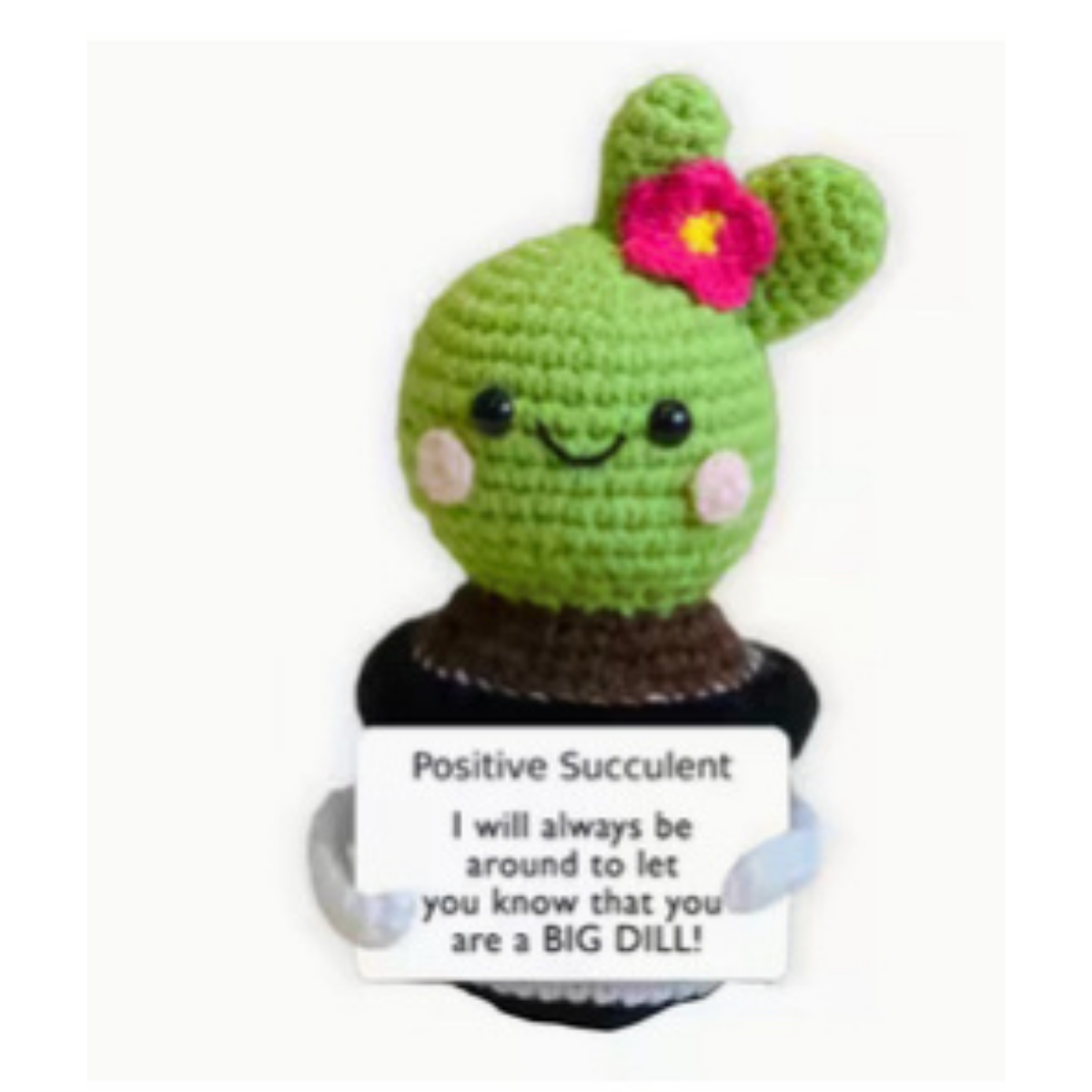 Positive Succulent - Large