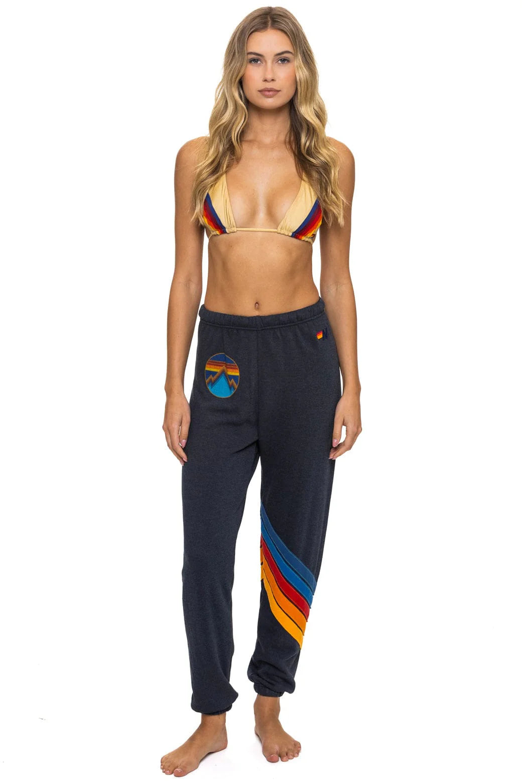 Aviator Nation Women's All Seasons Circle Chevron Sweatpants - Charcoal