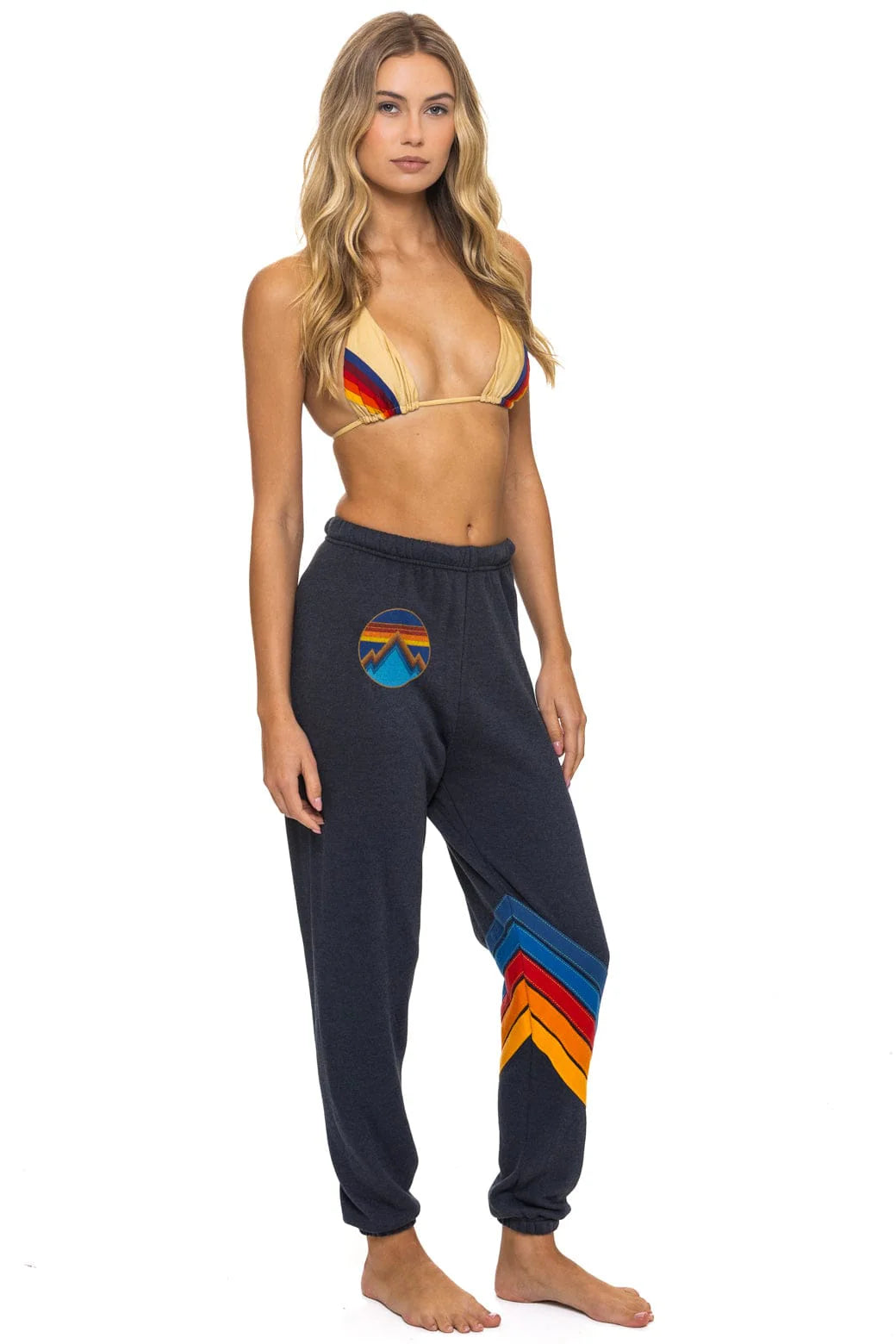 Aviator Nation Women's All Seasons Circle Chevron Sweatpants - Charcoal
