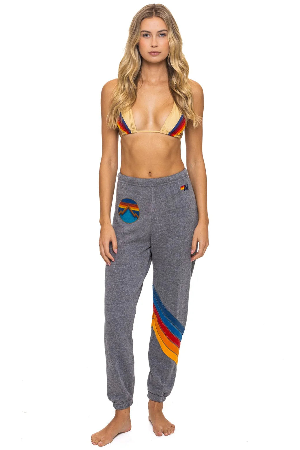 Aviator Nation Women's All Seasons Circle Chevron Sweatpants - Heather Grey