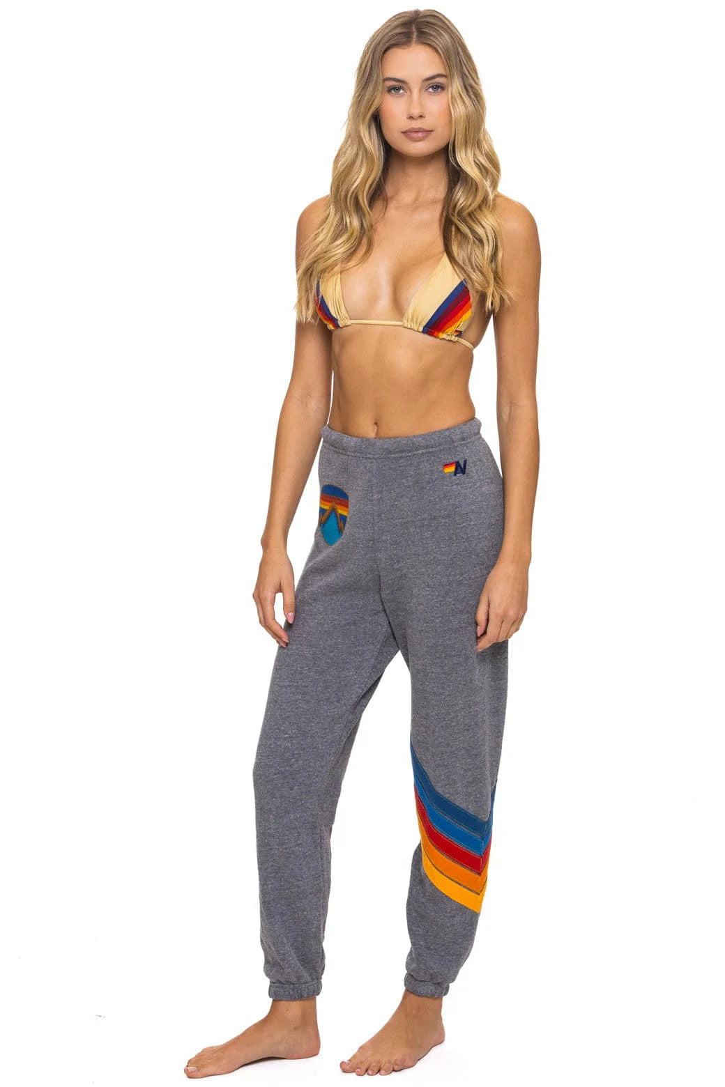 Aviator Nation Women's All Seasons Circle Chevron Sweatpants - Heather Grey